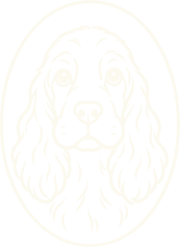 Logo DOG